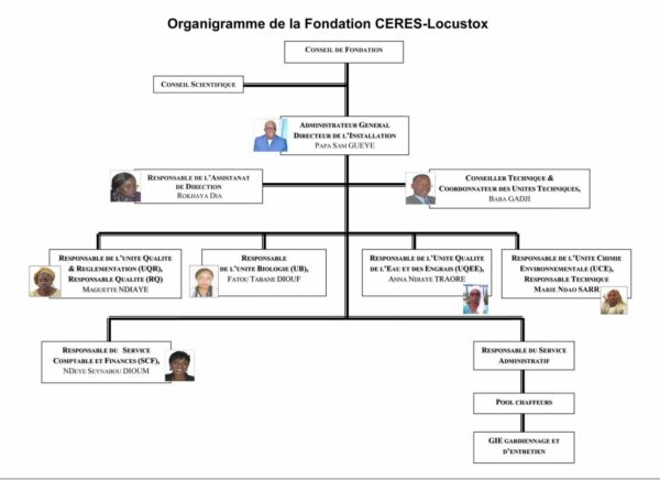 Organigramme de Ceres Locustox